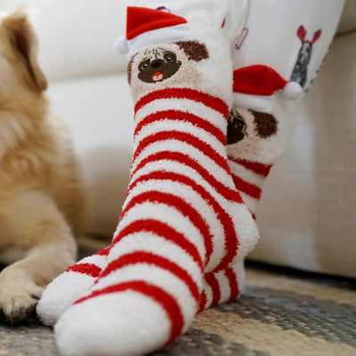 PJ Salvage: Holiday Pug Fun Socks - J. Cole ShoesPJ SALVAGEPJ Salvage: Holiday Pug Fun Socks